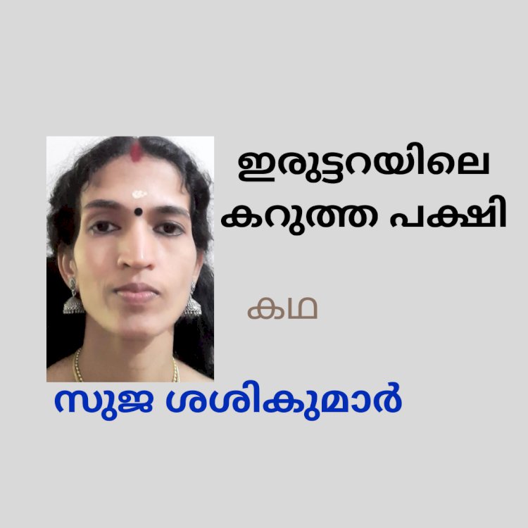 ഇരുട്ടറയിലെ കറുത്ത പക്ഷി; കഥ