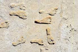 Footprints show humans lived in the Americas earlier than thought