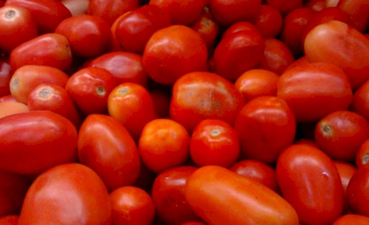 Tomato prices go up from Rs 10 to Rs 60 in Bengaluru