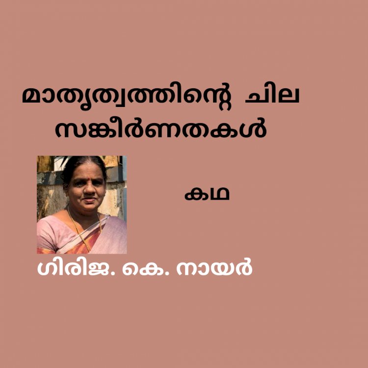 മാതൃത്വത്തിന്റെ ചില സങ്കീർണതകൾ.... കഥ
