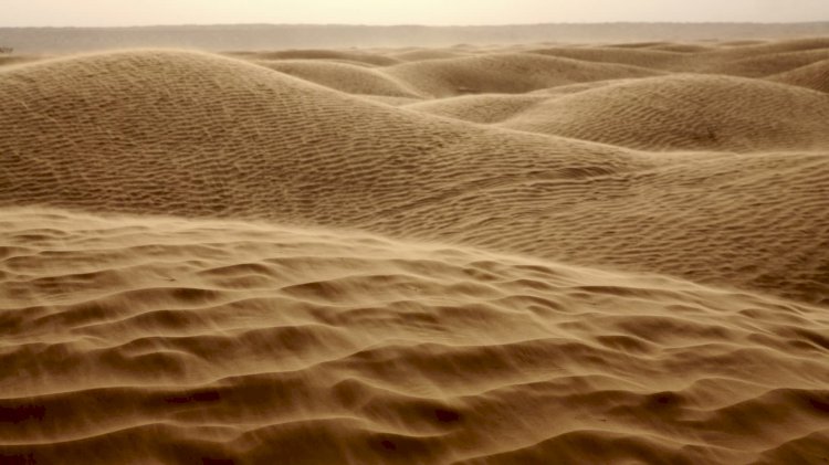 Sand is world’s second most exploited resource: UN report