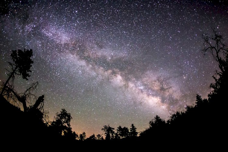 Astronomers have discovered a galaxy that is devoid of dark matter