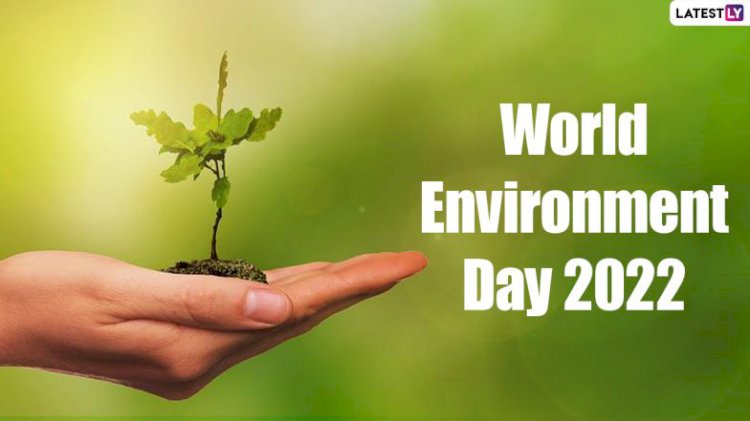 World Environment Day 2022: History, theme, significance and quotes