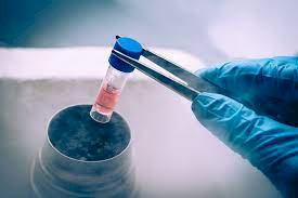 HC allows development of embryo kept frozen for 8 years