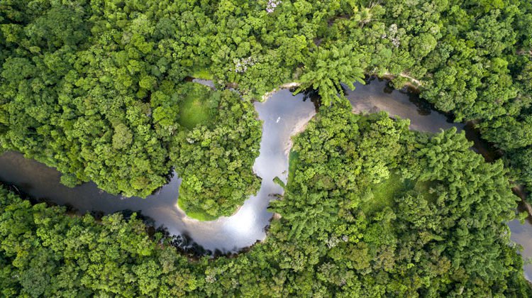 Less rain: Amazon even more vulnerable than previously thought